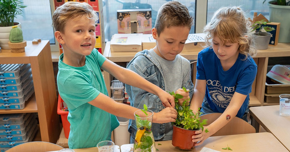 Gezamenlijk programma van de drinkwaterbedrijven