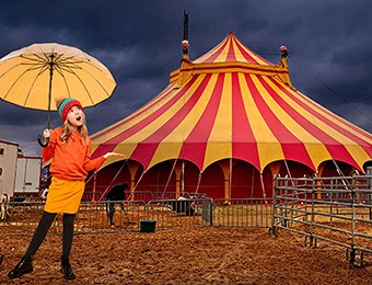 Het circus