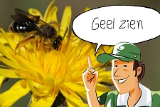 Geel zien: Zoeken tot je geel ziet  | groep 1-5