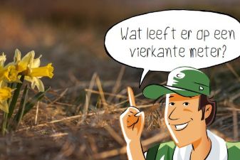 Buiten: Wat leeft er op een vierkante meter? | groep 5-8 