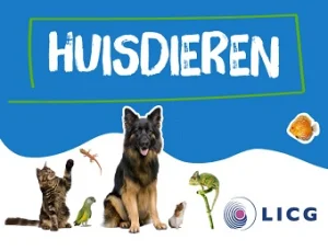 Lespakket over houden van huisdieren